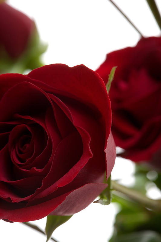 John O'Neill Obituary Renton, WA