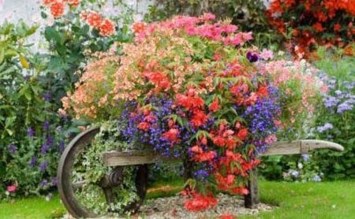 Obituary of Nell Pullum Paulk