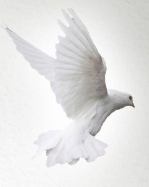 Obituary of Joaquin Bautista