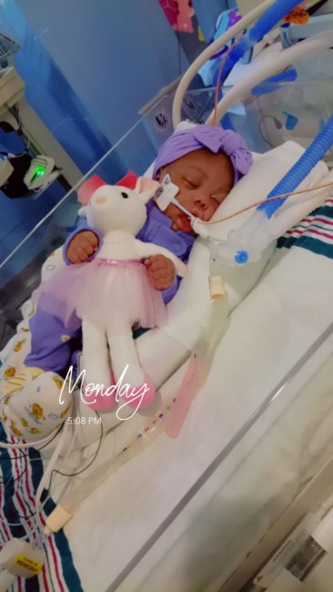 Obituary of Amoura Joy Williams