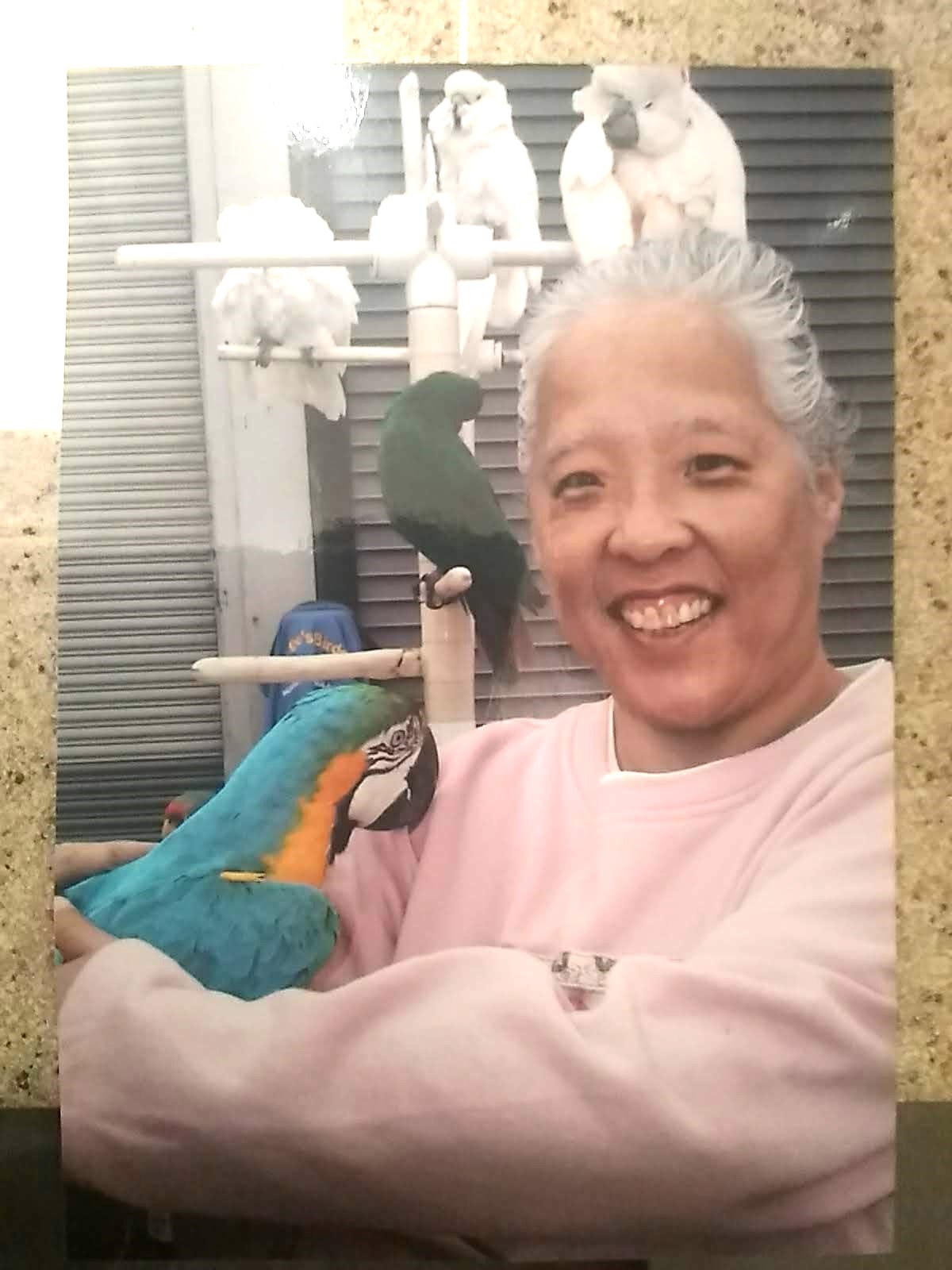 Obituary of Shari Ann Sekiya