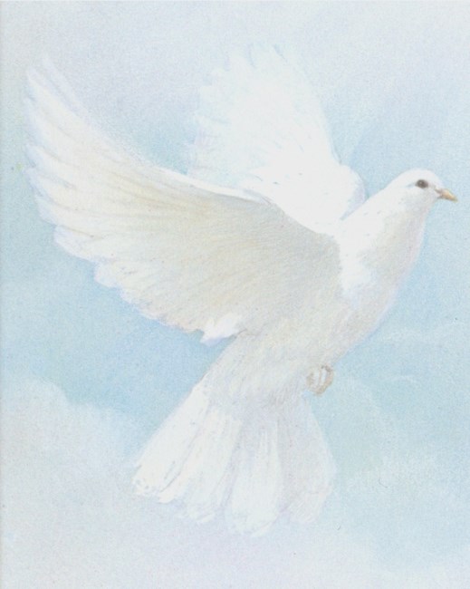 Obituary of Elizabeth Maude Matthews