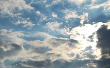 Obituario de Betty Nell Dykes