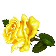 Obituary of Betty Higgins