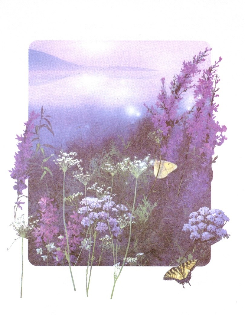 Obituary of Janice L. Allen