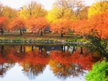 Obituary of Clara Burch