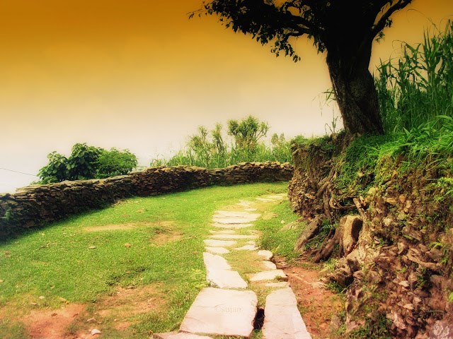 Obituary of Richard W. Bunker