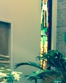 James Rupp Obituary - The Woodlands, TX