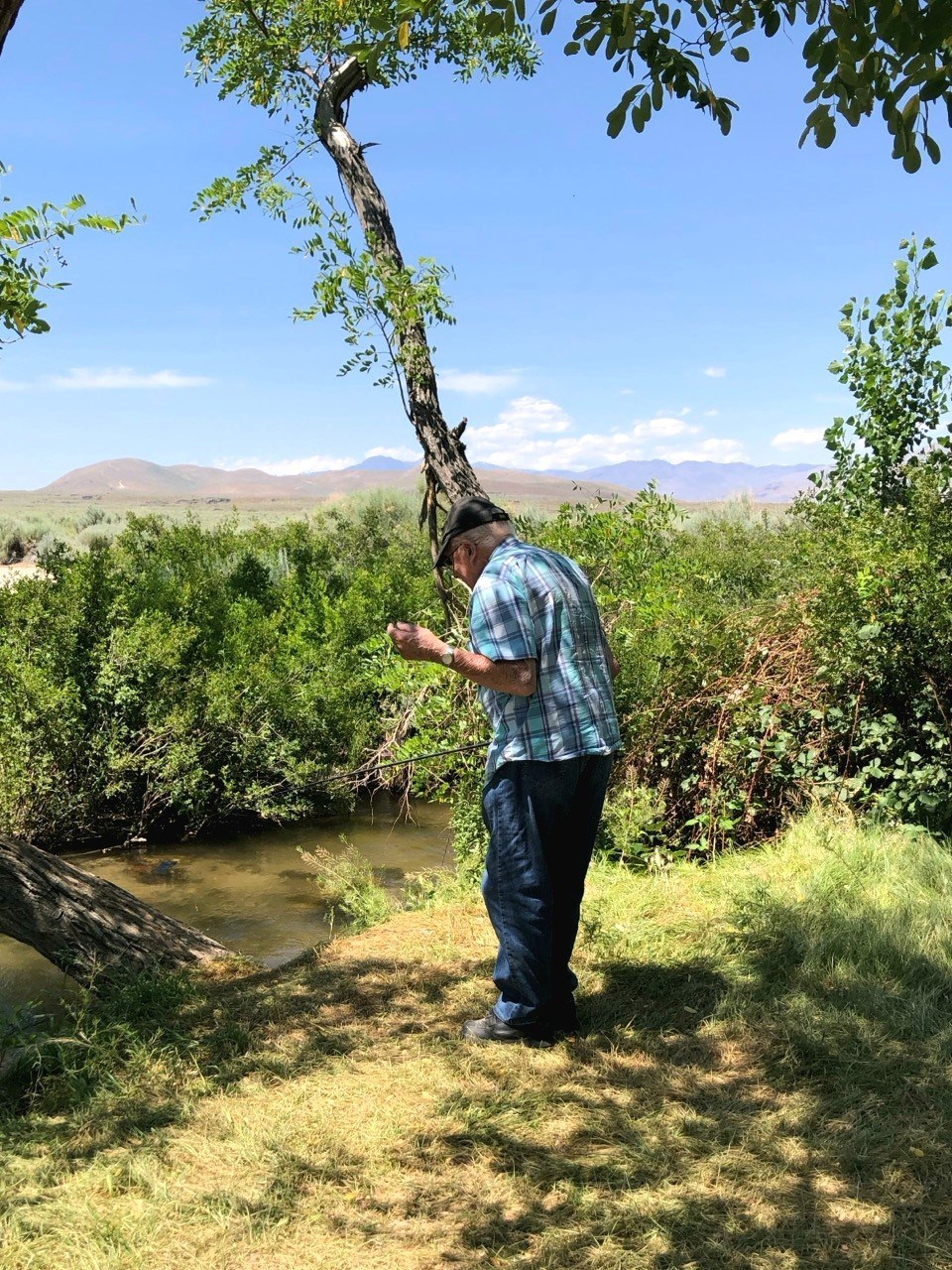 Obituary of Warren Newman