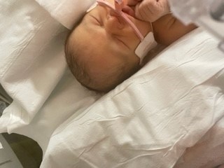 Obituario de Joey Ann Williamson