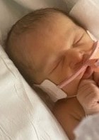 Obituary of Joey Ann Williamson