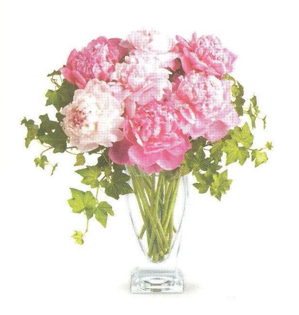 Obituary of Anita Gonzales Delgado