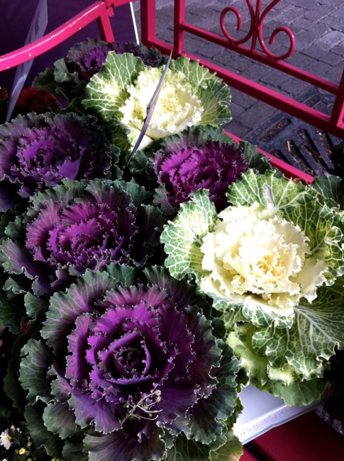 Obituary of Helen Sullivan