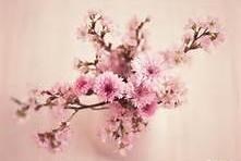 Obituary of Helen Edrie Scott