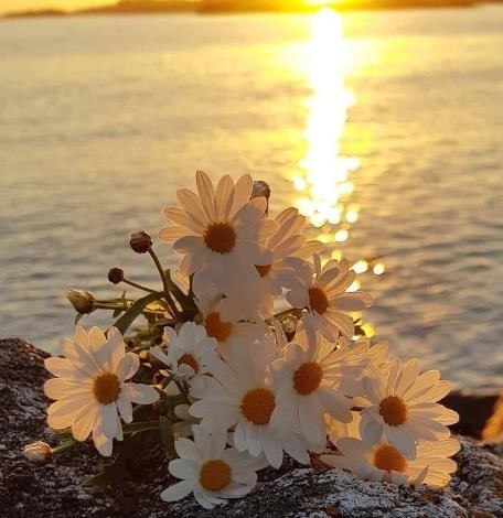 Obituary of William John Hussar