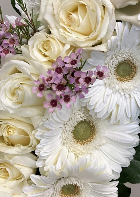 Obituary of Joseph Mark Antaya