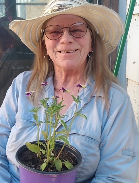 Obituary of Susan K Lenhart
