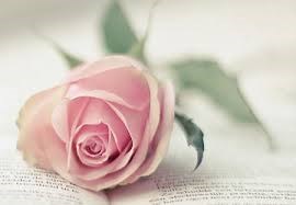 Obituary of Dolores J. Stuart