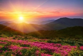 Obituary of Christine Horeis