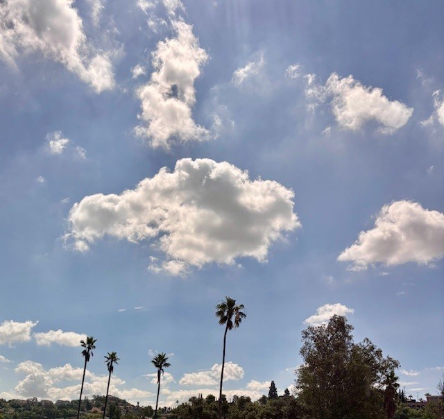 Obituary of Mrs. Isabel Aducci de Castillo