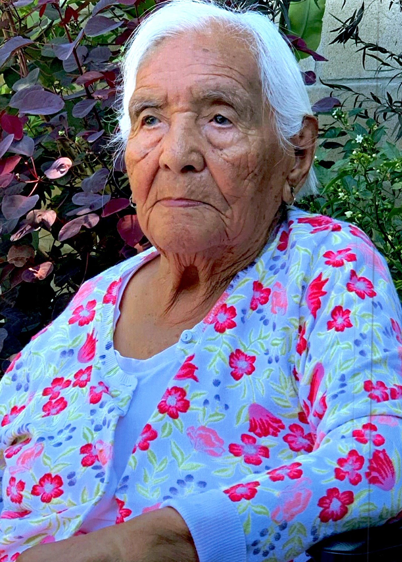 Adelaida Perez Cortez Obituary - Los Angeles, CA