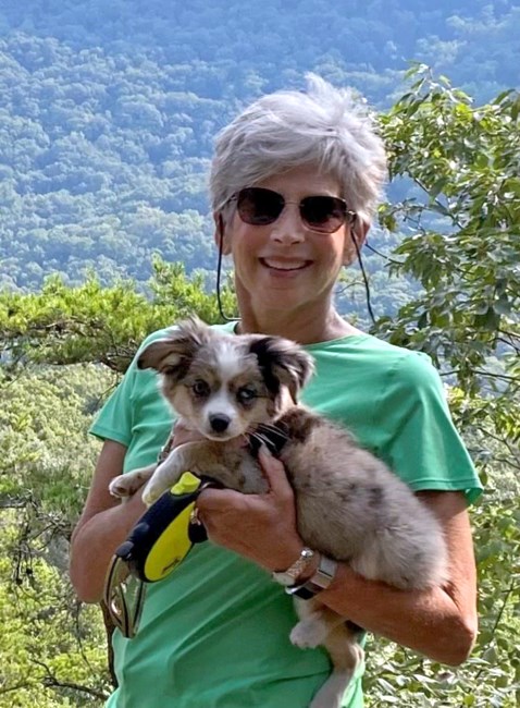 Obituary of Robin Sue Amster