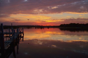 Obituary of J David Brim