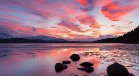 Obituario de Sherry Lavonne Harris