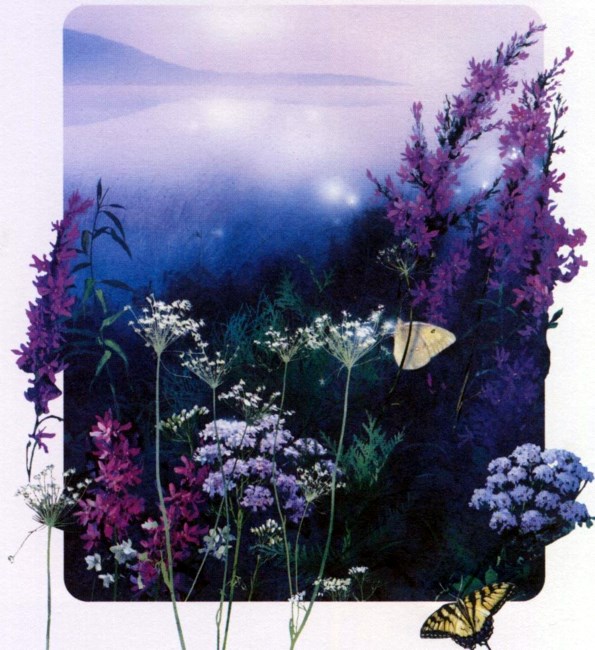 Obituary of Eva Ebbert - formerly Eva Schoon (nee Homans)