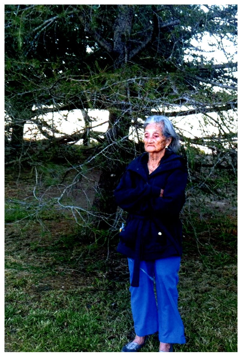 Obituary of Carmen Najarro