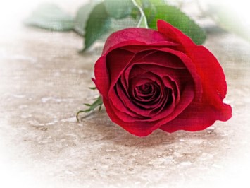 Obituary of Claire Bernice Teichman
