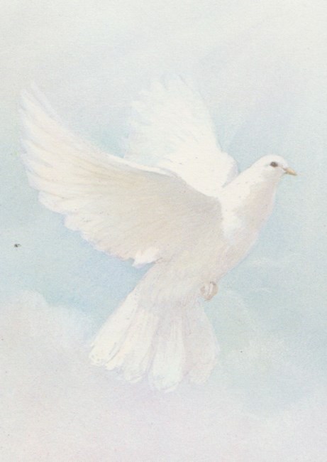 Obituary of Shari Marie Singletary