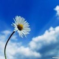 Obituary of Mary Emilin Doster