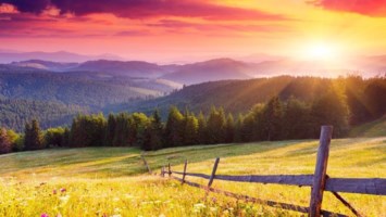 Obituary of Alisha Kay Thompson