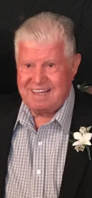 Obituary of Nicola Virgilio