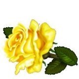 Obituario de Irene I Ward