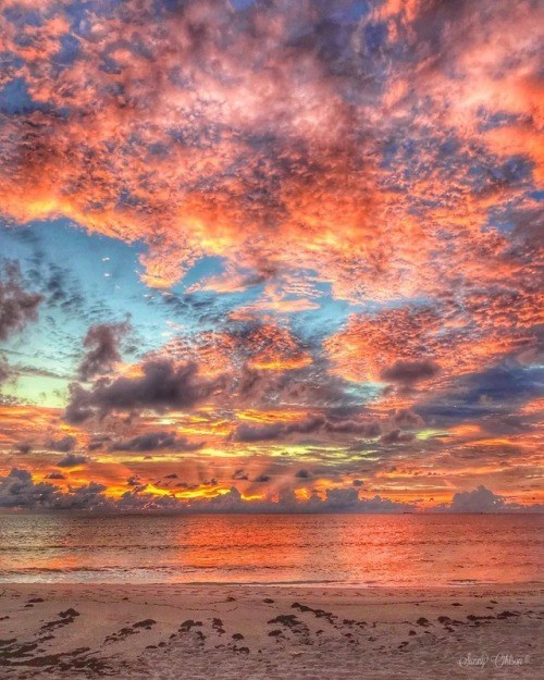 Obituary of Lawrence Alma Baxter Jr.