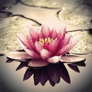 Obituary of Mary L Eng