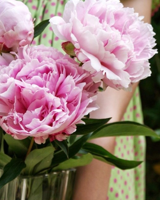 Obituary of Patricia McKinney