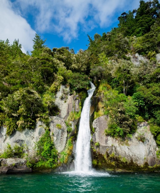 Obituary of Tae Sun Choi