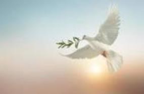 Obituary of Roberto Jesus Castillo