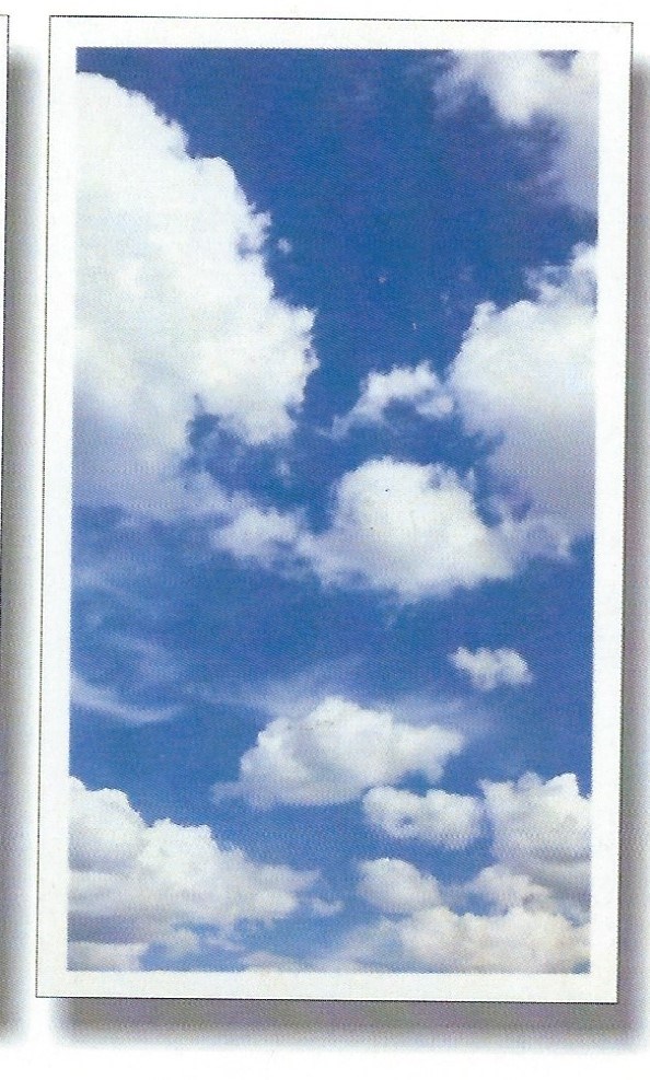 Obituary of Abraham Rodriguez