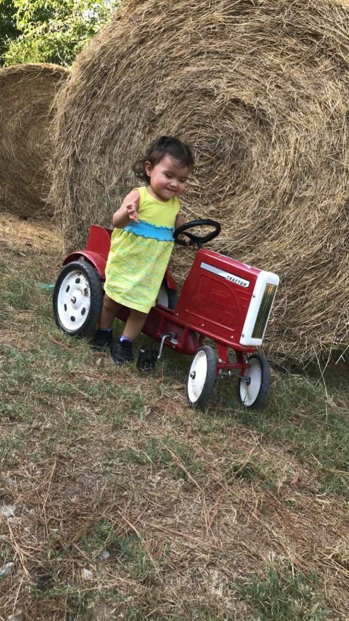 Obituary of Ailani Sophia Ornelas