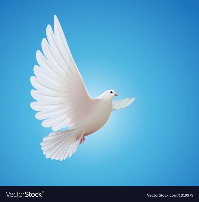 Obituary of Timothy R. Sampson Sr.