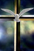 Obituary of Delia Ruiz