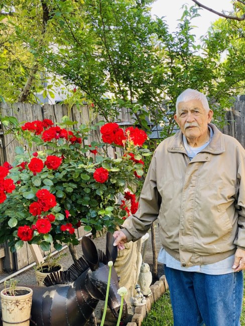 Obituario de Salvador Villegas Jimenez