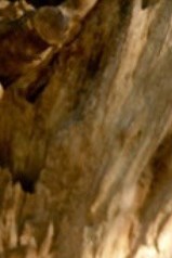 Ernesto Arispe Obituary Colorado Springs, CO