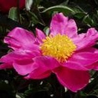 Obituary of Ruby Allene Brooks