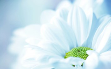 Obituary of Ruby Ching Yuen