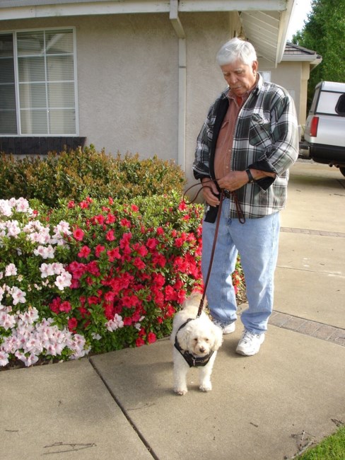 Obituary of Marshall Bruce Nelson